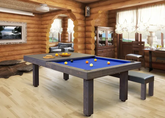 Dino Rustik poolbord