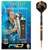 Peter Wright Copper Fusion 90% NT steeltip dartpile fra Red Dragon