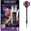 Peter Wright WORLD CHAMPION Torpedo SE 90% NT steeltip dartpile